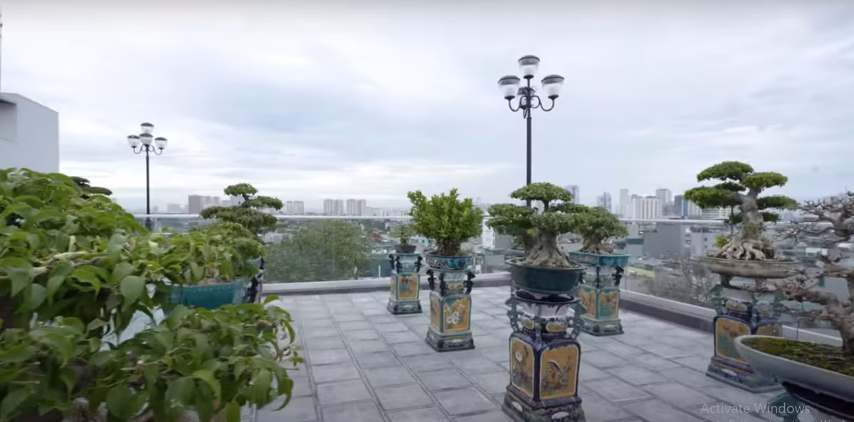 Tầng thượng còn có một khu vườn bonsai cổ hàng trăm tỷ đồng. Nguồn ảnh: chụp màn hình NhaTo