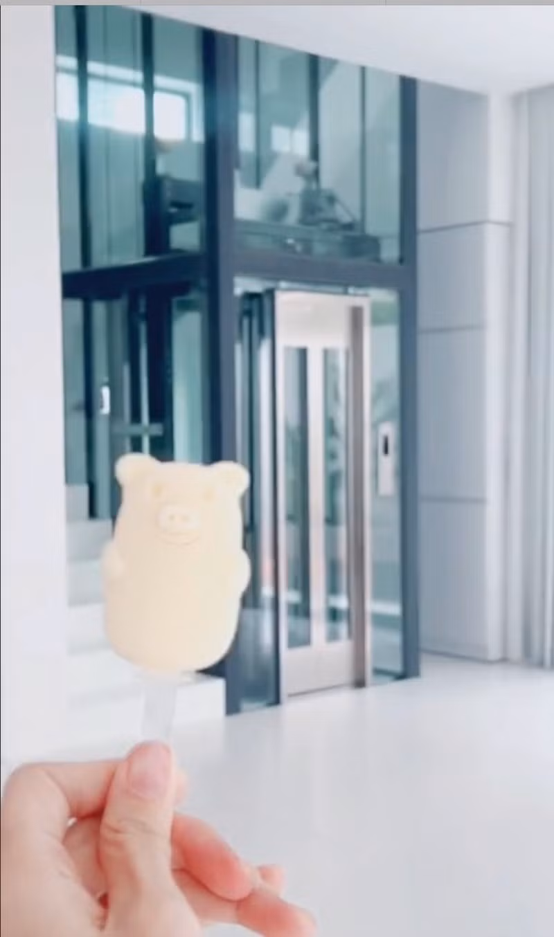 Căn biệt thự còn có thang máy để tiện di chuyển vì quá rộng rãi. Ảnh: TikTok PhuongThao.jisoo
