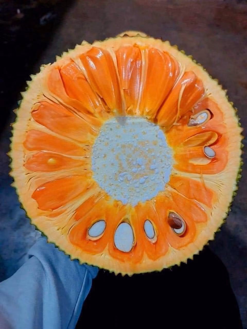 Vài năm trước, mít ruột đỏ được xếp vào nhóm sản phẩm "độc lạ", giá hơn 100.000 đồng/kg, cao gấp 5-10 lần mít ruột vàng (mít Thái). Ảnh: Facebook