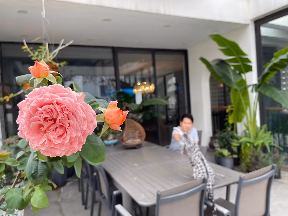 Ca sĩ Trọng Tấn cũng rất yêu hoa. Anh tô điểm không gian sống bằng nhiều loại hoa khác nhau.