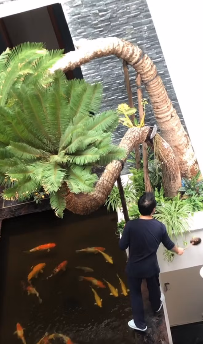 Gia đình Trọng Tấn - Thanh Hoa đang sống trong ngôi nhà 4 tầng rộng hơn 100m2 tại Hà Nội. Trong nhà, nam ca sĩ thiết kế hồ cá Koi, trồng nhiều loại cây cảnh, hoa trái và rau trên sân thượng.