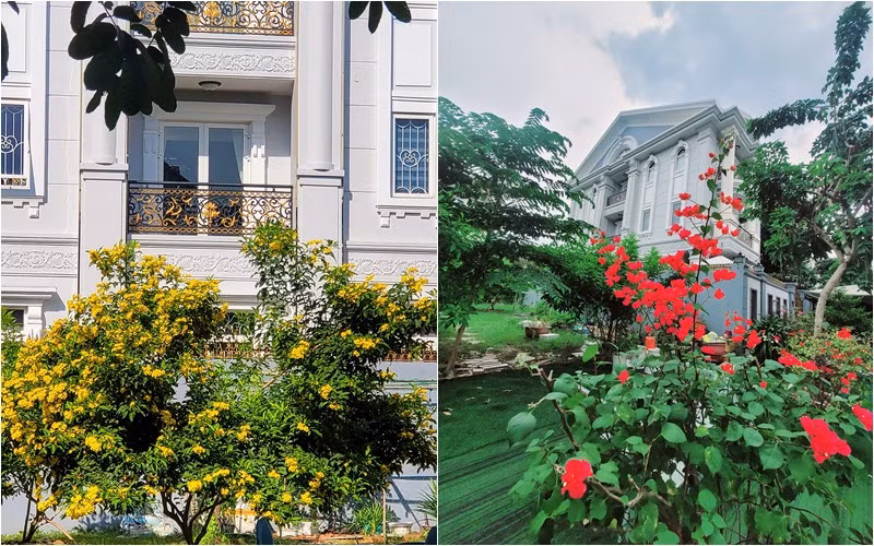 Giọng ca "Chim trắng mồ côi" trồng nhiều loại hoa rất đẹp.