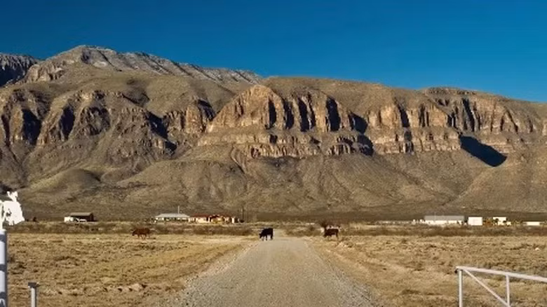 Bezos đã mua trang trại ngô rộng 400.000 mẫu Anh gần Van Horn, Texas. Mảnh đất mà Bezos sở hữu ở Texas có diện tích gần bằng thành phố New York. Ảnh: Housedigest