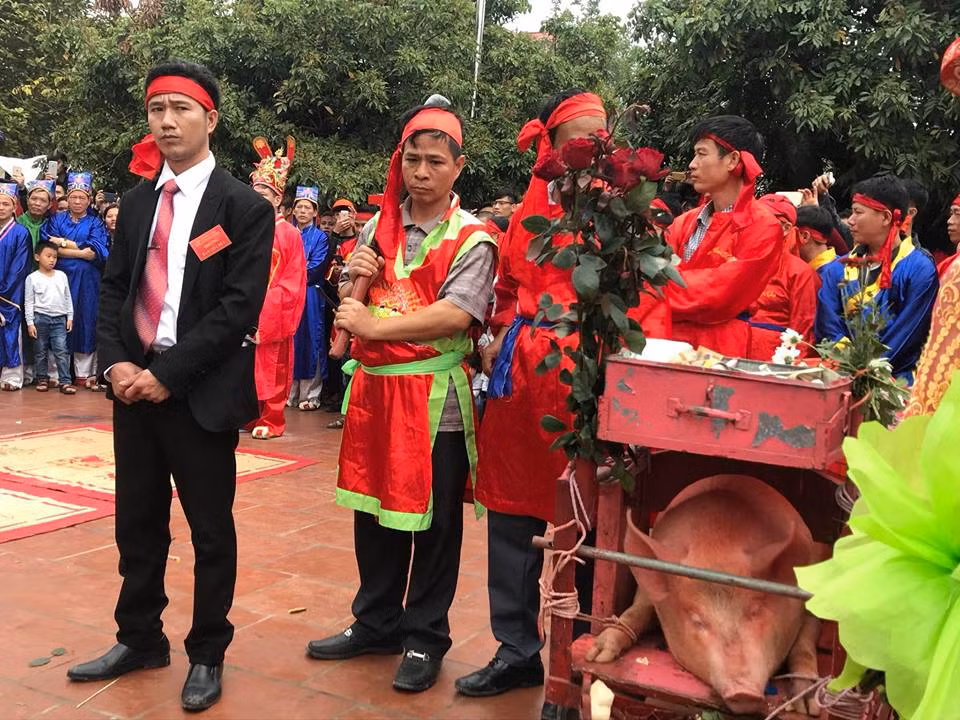 Như truyền thống lễ hội chém lợn Ném Thượng, từ sáng 21/2, người dân đã rước hai “ông Ỉn” quanh làng cùng với kiệu, ngựa gỗ, các ông đám, đoàn múa lân…Đông đảo người dân đã đi theo đoàn và mừng tuổi với mong muốn mang lại nhiều may mắn.