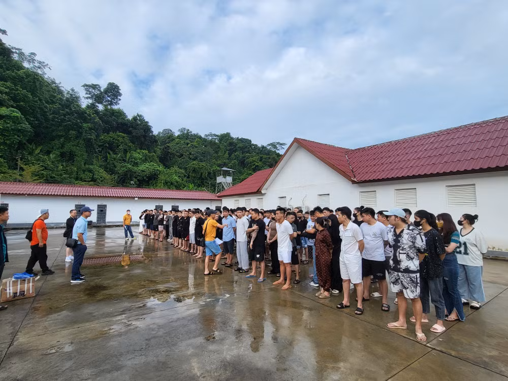 Theo tài liệu trinh sát, từ năm 2023 các tổ chức, băng nhóm tội phạm lừa đảo chiếm đoạt tài sản tại khu vực Đông Nam Á có xu hướng di chuyển địa bàn hoạt động sang Lào. Các nhóm này thường xuyên thay đổi phương thức, thủ đoạn lừa đảo, địa điểm hoạt động đồng thời không ngừng mở rộng quy mô, tổ chức. Để lừa người Việt Nam, những kẻ lập ra đường dây sử dụng chiến thuật "dùng người Việt lừa người Việt". 