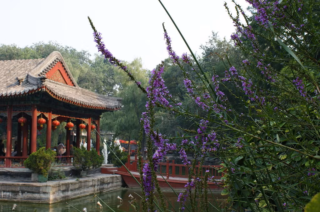 Cung Vương Phủ ban đầu có tên là "Hòa đệ" - tức phủ nhà họ Hòa do Quân cơ đại thần, Hàn lâm Đại học sĩ Hòa Thân cho xây dựng năm Càn Long thứ 41 (năm 1776). Phủ chạy dọc hồ Tiền Hải và sau hông hồ Hậu hải - nằm ở phía đông bắc Tử Cấm Thành. Ảnh: Wikipedia.