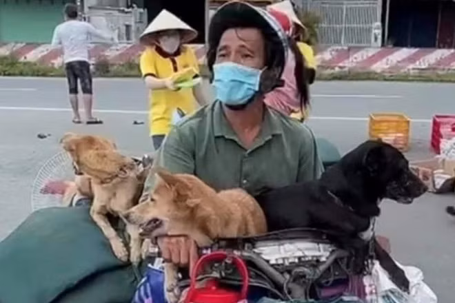 Chu nhan 16 chu cho, meo: “Chung la con, la gia dinh, toi chi biet khoc!“