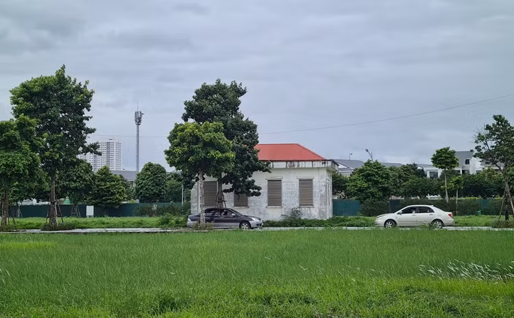 Tại một số khu đất chưa được xây dựng trở thành nơi lý tưởng cho người dân đến tập lái xe ô tô.