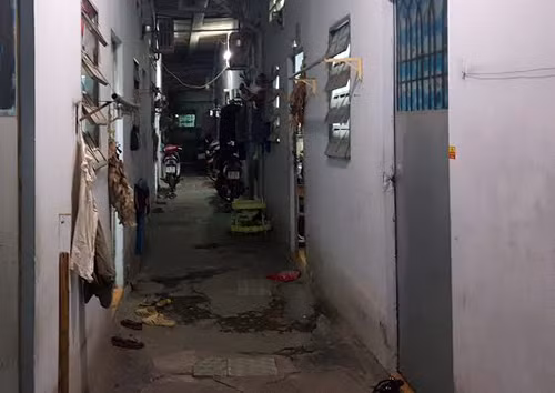 An mang chan dong: Con cat co cha ruot, goi dien bao me