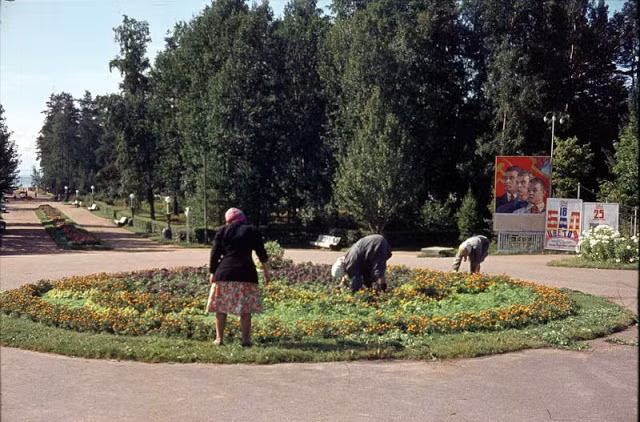 Cảnh tượng trong một công viên ở Zelenogorsk, Leningrad vào năm 1963.