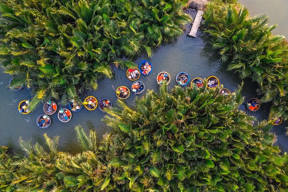 Du khách có thể chọn tour tham quan bằng thuyền thúng qua rừng cọ Cẩm Thanh (Ảnh: Phùng Thu Hiền).