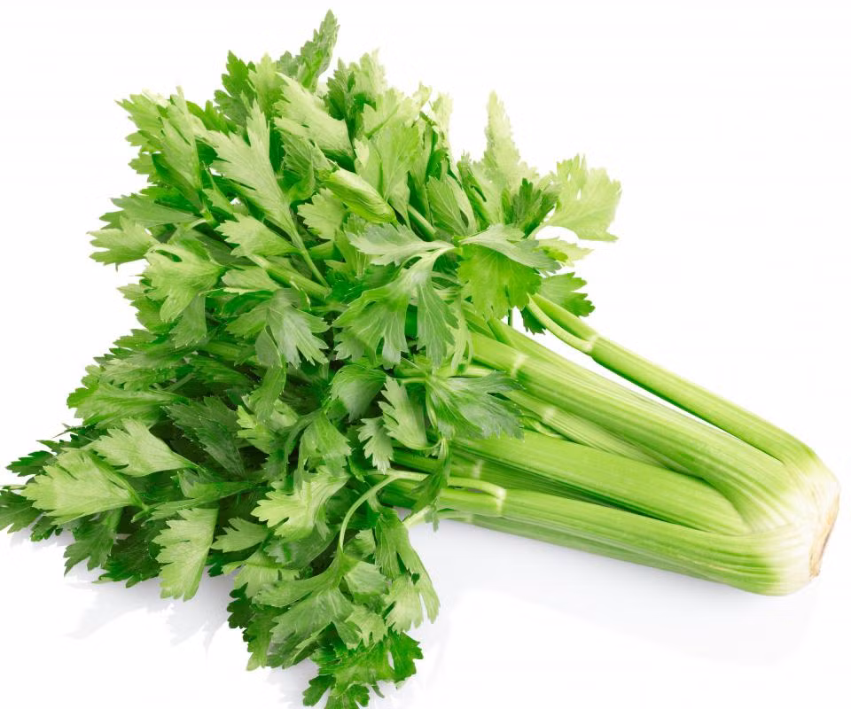 "Khi nói đến hydrat hóa buổi tối, bạn nên uống từ 300 đến 500 ml chất lỏng cách 3 giờ trước khi đi ngủ. Lượng chất lỏng này uống vào đúng thời điểm sẽ giúp bạn đáp ứng lượng nước hàng ngày, đồng thời không ảnh hưởng đến giấc ngủ của bạn", bác sĩ Galloway giải thích. Ảnh: Boldsky.