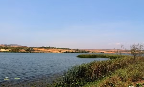 Với đủ loại cá rô, cá lóc, cá trê,… cùng hệ thực vật phong phú, hồ nước ngọt rộng lớn phản chiếu nền trời xanh ngắt, xua tan cái nóng bỏng rát của sa mạc. Ảnh: idulich.com.