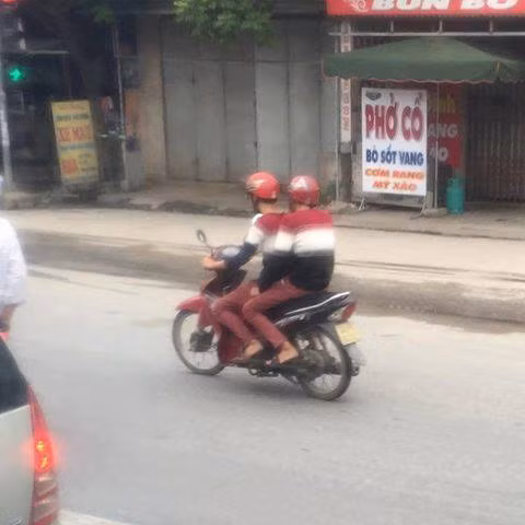  Người ta có đôi có lứa. Ảnh: Khánh My.