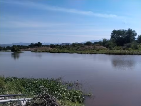  4 học sinh rủ nhau đi tắm sông, 2 em chết đuối thương tâm: Chiều 2/6, tại sông Đá Hàn, tại thị trấn Liên Hương, huyện Tuy Phong, Bình Thuận. Thời gian này, có 4 em học sinh rủ nhau ra sông Đá Hàn để tắm. Trong lúc tắm thì có 2 em bị đuối nước. Phát hiện sự việc, 2 em còn lại chạy đi kêu mọi người đến cứu nhưng không kịp. Những người cứu hộ đã lội sông tìm kiếm, đến 16h cùng ngày mới vớt được thi thể 2 em đưa lên bờ. 