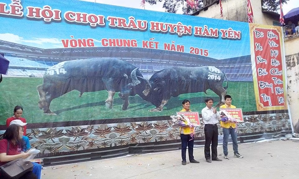 60.000 nguoi chen nhau xem hoi choi trau Ham Yen 2015-Hinh-12