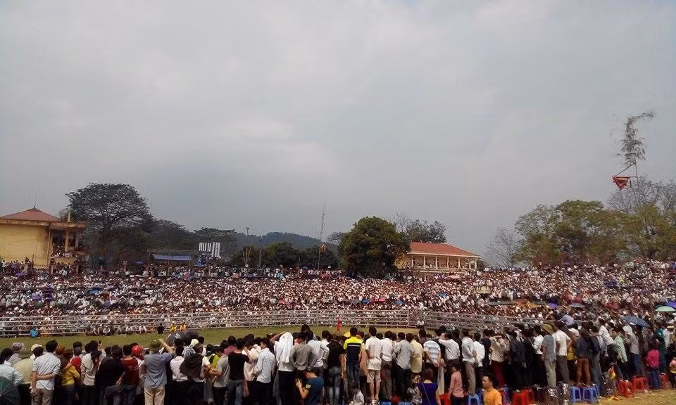 60.000 nguoi chen nhau xem hoi choi trau Ham Yen 2015-Hinh-2