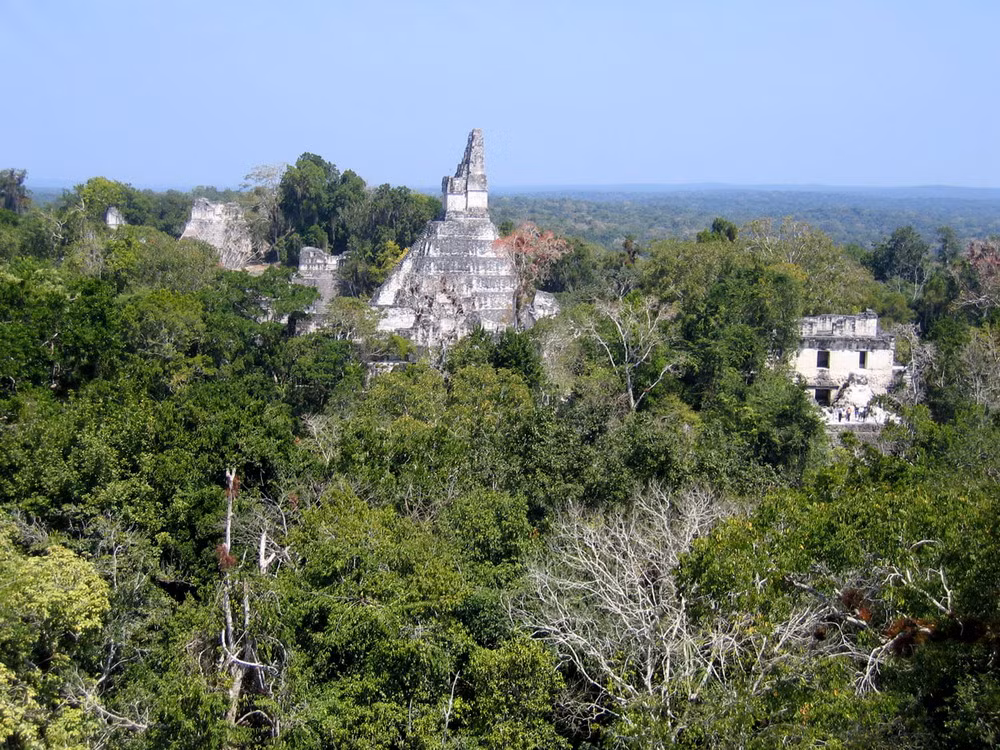 Cùng với sự suy tàn của đế chế Maya, thành phố cổ Tikal bị bỏ hoang vào khoảng năm 900.