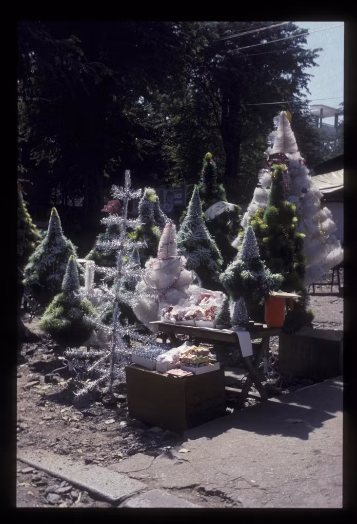 Cây thông Noel được bày bán gần nhà thờ Đức Bà, Sài Gòn năm 1990.