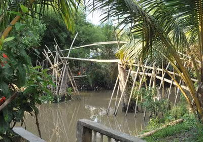 Chiếc cầu tre gần nhà kình ngư Ánh Viên.