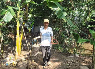 Với 3 công đất vườn, anh Nguyễn Văn Tác - cha Ánh Viên - trồng cây lâu năm như sầu riêng, cam...