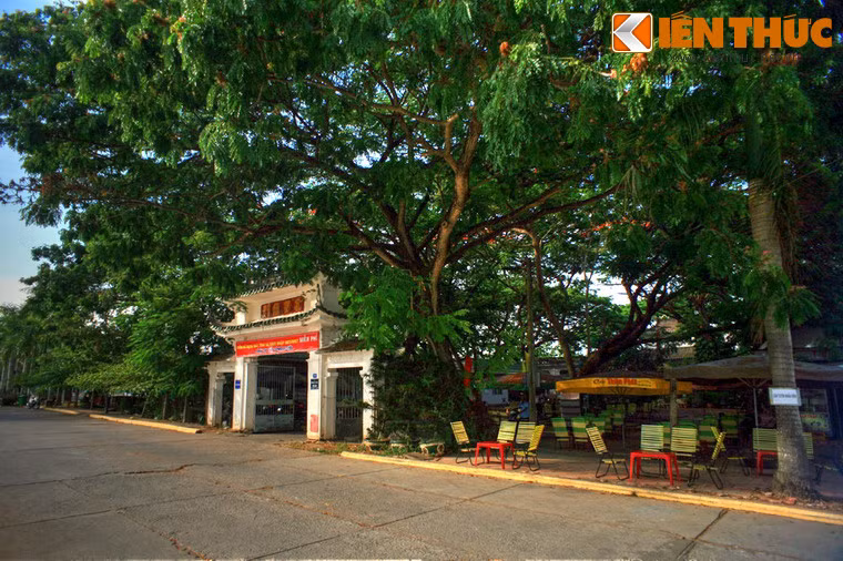 Từ năm 2011, chính quyền TP Cao Lãnh đã thống nhất phương án trùng tu Văn Thánh Miếu Cao Lãnh theo mô hình kiến trúc cũ. Theo đó, sẽ dựng lại bài vị thờ những nhà tiền hiền, ghi danh các cá nhân và tổ chức đóng góp vào quỹ khuyến học Nguyễn Sinh Sắc