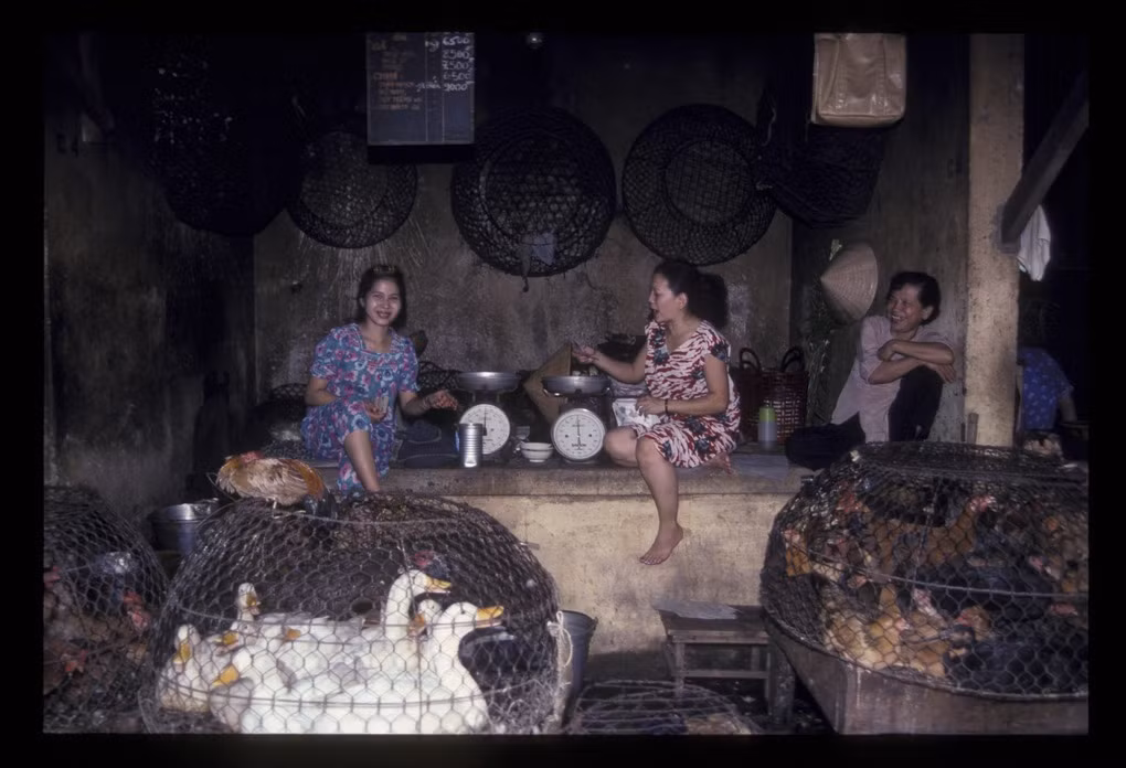 Khu bán gà vịt trong chợ Bến Thành.