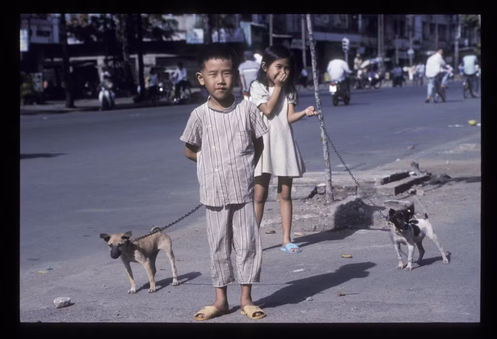 Hai em bé dắt chó đi dạo gần cầu chữ Y.