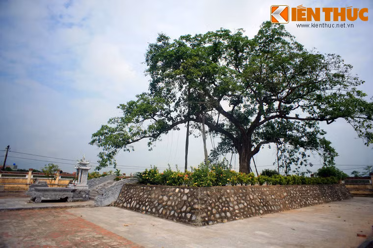 Sau một thời gian dài hoang phế, đến năm 1994 lăng mộ Thái sư Trần Thủ Độ mới được xây dựng lại. Đến những năm 2000, lăng mộ được trùng tu lớn và có diện mạo như ngày nay.