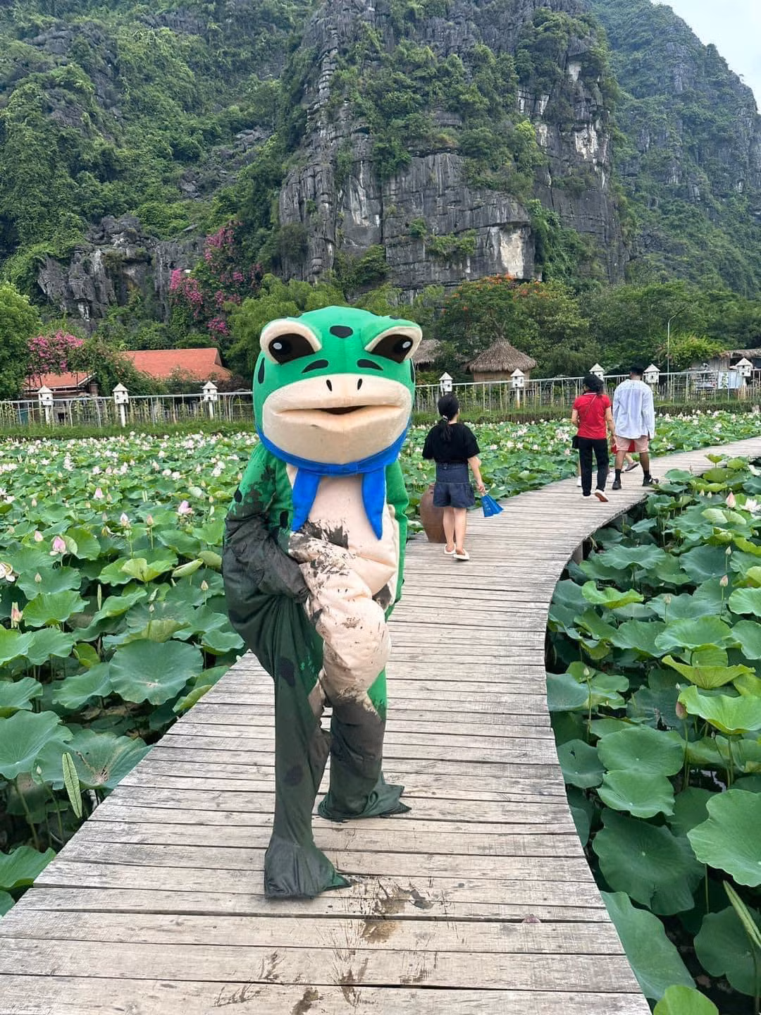 Nhiều người đã bày tỏ cảm xúc: "Haha đã là ếch mà còn đòi sống ảo", "cái kết cho người muốn làm lố này", "chắc bản năng trỗi dậy, ra đến đầm sen thì nhảy xuống là đúng rồi haha".