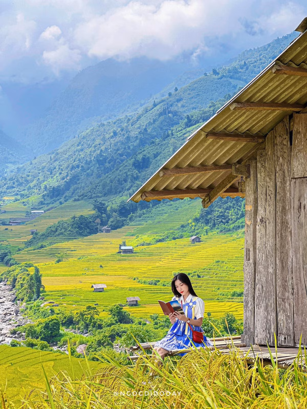 Có những bạn trẻ năm nào cũng ghé thăm mùa lúa, vừa để "chữa lành", vừa để ngắm nhìn khung cảnh tuyệt diệu của mẹ thiên nhiên.