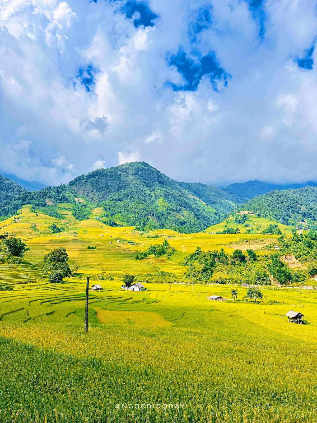 "Thi thoảng có những căn nhà nhỏ để bà con canh tác lúa, khi thì là kho đựng thóc...điểm tô cho những tràn ruộng bậc thang nơi lưng núi thêm đẹp, tạo nên bức tranh mùa Thu đầy sống động." - chia sẻ của một bạn nữ đã có dịp đến với Nậm Cang mùa lúa.