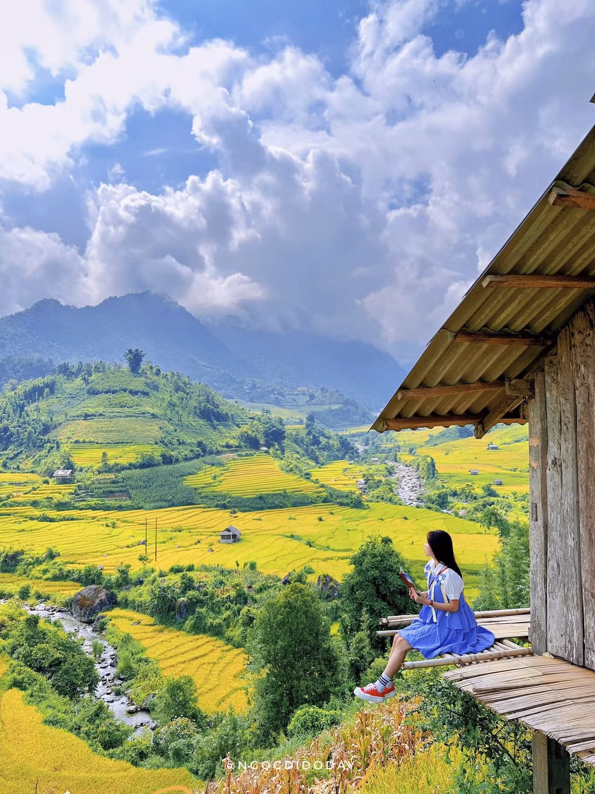 Trong những ngày đầu tháng Tám, lúa bắt đầu chuyển màu chín vàng. Các bậc ruộng ngả từng lớp màu dưới ánh mặt trời như đang muốn chơi một trò chơi về thị giác.