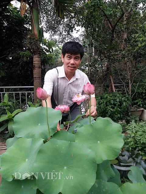 Từ một nhánh sen nhỏ giống cung đình, anh Điệp đã ươm trồng được mấy chục chậu sen. Tất cả lu, chum, vại, chậu cây bonsai… đều được anh tận dụng trồng sen rất hiệu quả và tạo phong cách lạ. Khuôn viên rộng gần 1.000 m2 của nhà anh Điệp sau 5 năm đã phủ kín hoa sen. Những chậu sen đẹp nhất được anh đưa vào cạnh thềm ngay trước bàn uống nước để khách đến nhà có thể vừa uống trà vừa ngắm sen.