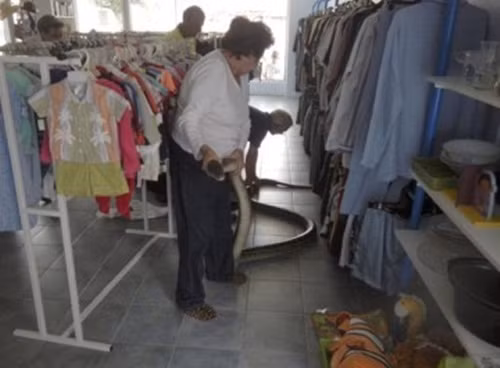 Chủ cửa hàng và các khách hàng tới cửa hàng quần áo này đã choáng ngợp bởi sự xuất hiện bất thình lình của một con rắn khổng lồ. Là một trong những loài động vật hoang dã nguy hiểm, việc con trăn ngang nhiên bò trườn vào trong một cửa hàng quần áo đã dọa không ít người sợ xanh mặt. (Nguồn Emgn)