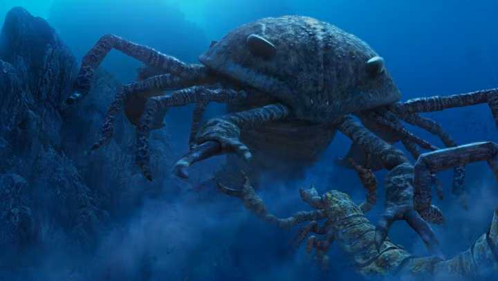 Jaekelopterus, loài bọ cạp biển khổng lồ có cấu trúc cơ thể gần giống như bọ cạp đất liền, khác biệt ở chỗ loài động vật đáng sợ hơn khủng long này có mái chèo. Chúng là những kẻ săn mồi hàng đầu trong thời kỳ Trung Devon, khoảng 390 triệu năm trước đây. (Nguồn Emgn)