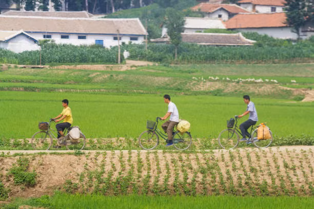 Kinh ngac canh binh di ve cuoc song o thon que Trieu Tien-Hinh-11