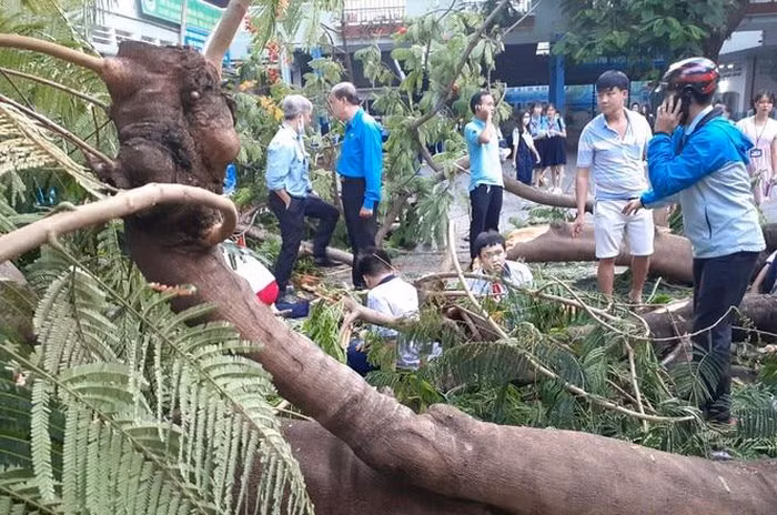 “Cay do trong truong... trach nhiem cua toi”: Ban linh Hieu truong Nguyen Van Phuc