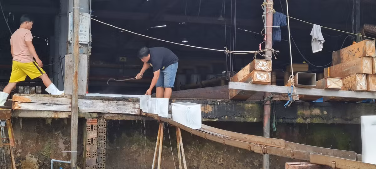Công nhân đang tất bật với các công đoạn sản xuất đá cây.