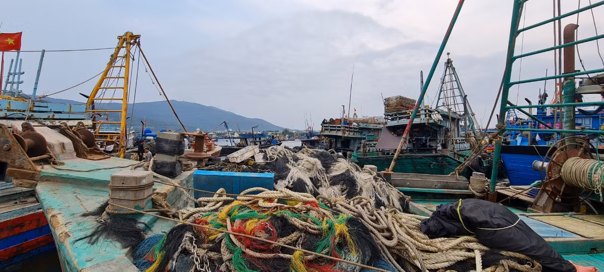 Tàu thuyền cập cảng, mua bán thuỷ hải sản và tiếp nhiên liệu, thực phẩm cho các chuyến vươn khơi.