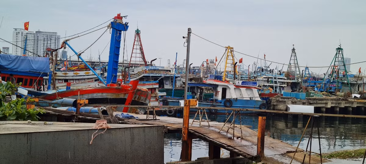  Thọ Quang cũng là một trong những khu hậu cần nghề cá lớn nhất tại miền Trung. 