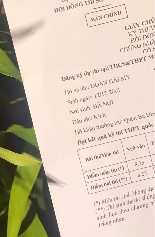 Doãn Hải My là sinh viên năm 2 tại Đại học Luật Hà Nội với chương trình chất lượng cao. Bạn gái tin đồn Văn Hậu không chỉ xinh đẹp và còn có khả năng cân bằng tốt giữa việc học, công việc cá nhân và tham gia các cuộc thi sắc đẹp.