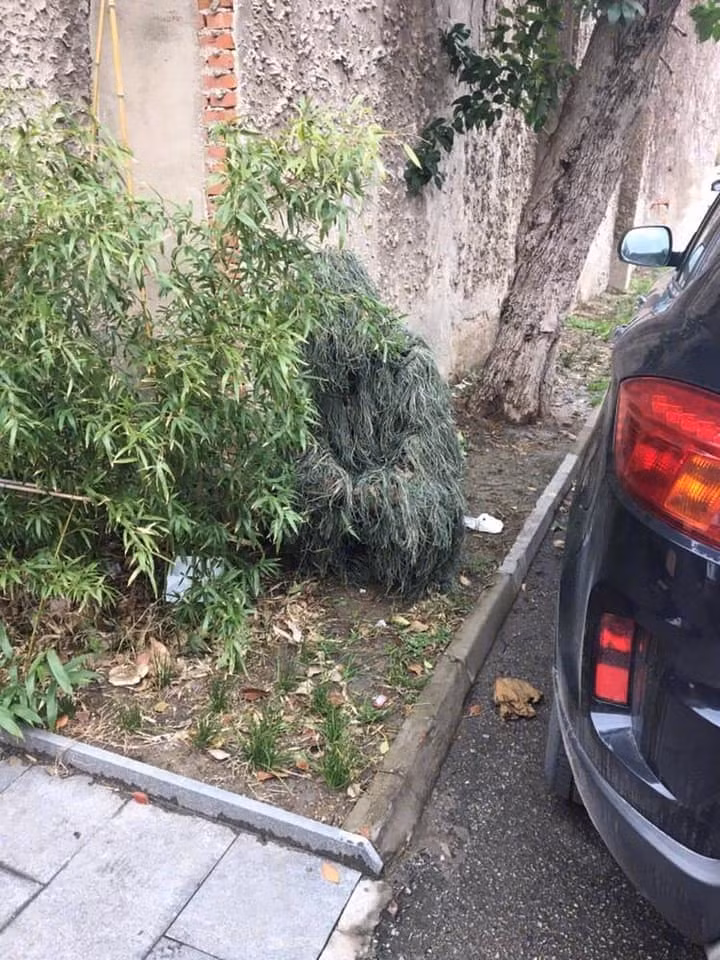 Những trò chơi hành động bắn súng luôn có sức hút với nhiều người, khiến họ yêu thích và say mê không ngừng. Thậm chí, có trường hợp nghiện game và mê đến nỗi phải tậu quần áo giống trong game để trải nghiệm cảm giác thực.