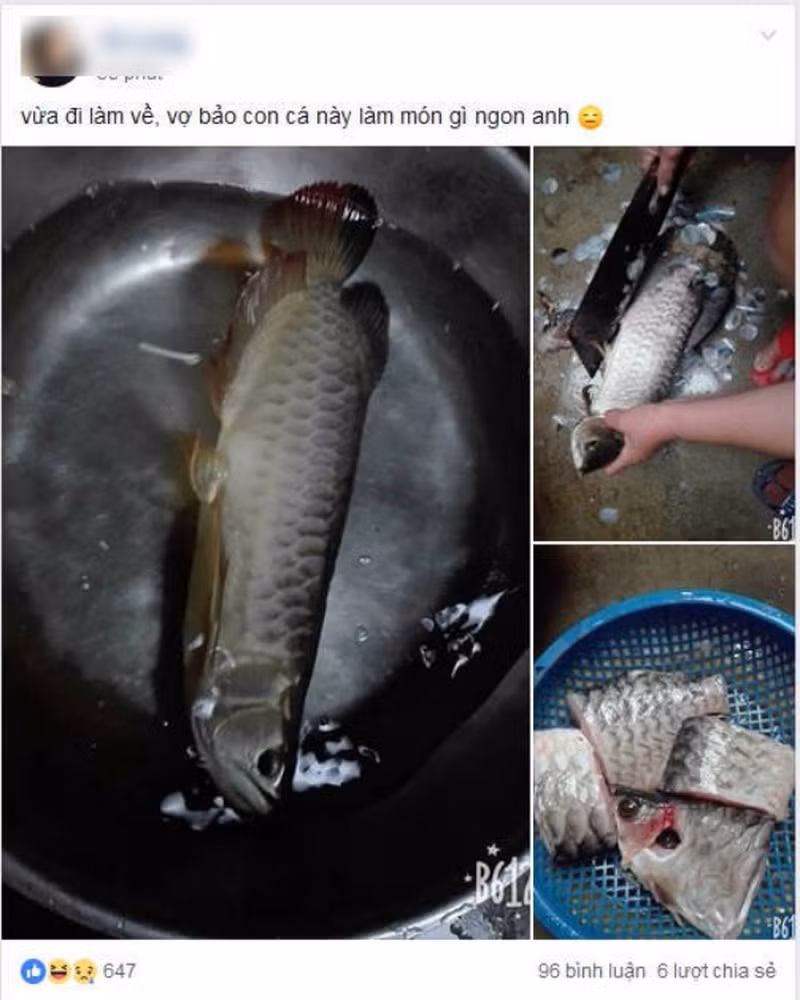 Tuy nhiên, đáp lại lo lắng của dân mạng, người vợ đăng tải video giải thích và nhận định chồng đã tha thứ cho mình.