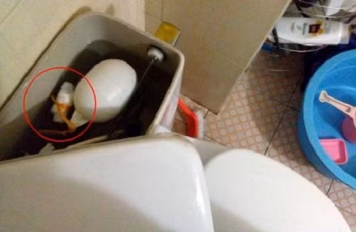 Chỉ cần một túi zip chống nước, các anh chồng có thể biến chỗ đựng nước xả bồn cầu thành một "két sắt" an toàn. Ngoài ra chỉ cần 1 đoạn băng dính cũng sẽ khiến nóc bình nóng lạnh thành "đồng minh".
