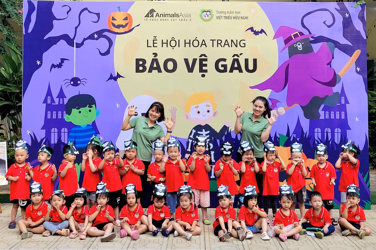 Ngày 27/10, Tổ chức Động vật Châu Á hợp tác với Trường Mầm non Việt Triều Hữu Nghị tổ chức Lễ hội Hóa trang bảo vệ gấu tới toàn bộ gần 400 học sinh mầm non toàn trường.