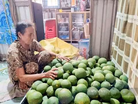 Đến chúc Tết các gia đình miền Bắc những ngày này, sẽ rất dễ dàng bắt gặp hình ảnh những quả bưởi được xếp lăn lóc khắp nơi.
