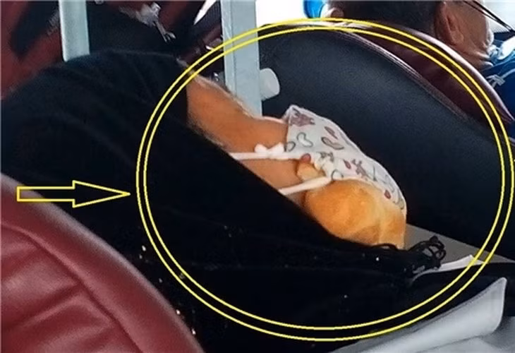 Nhiều người tự nhận say xe là "bệnh nan y" của mình, nhưng do được "tôi luyện" qua những chuyến xe đường dài, họ dần không còn cảm giác "lên xe - sống không bằng chết" nữa.