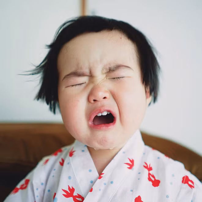 Trong những clip được đăng tải sau đó, "thánh ăn nhí" Tiểu Mãn chẳng làm việc gì khác ngoài ăn nhưng loạt biểu cảm hài hước dễ thương cùng tốc độ ăn chóng mặt ngon lành của bé vẫn trở thành hiện tượng gây sốt.