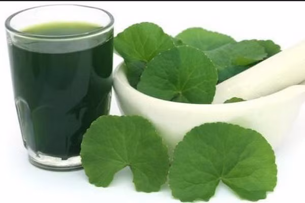 Chị em đua nhau uống nước rau má mà không biết sự thật này Chi em dua nhau uong nuoc rau ma ma khong biet su that nay